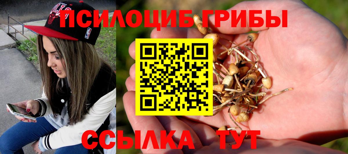 Галлюциногенные грибы мухоморы Великие Луки