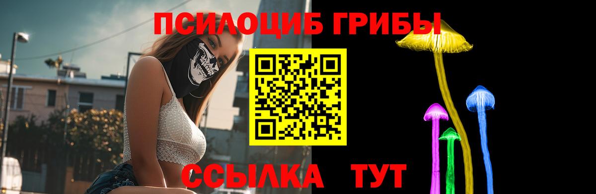 где найти   Галлюциногенные грибы ЛСД  Галлюциногенные грибы прущие грибы  Вход с VPN  Великие Луки 